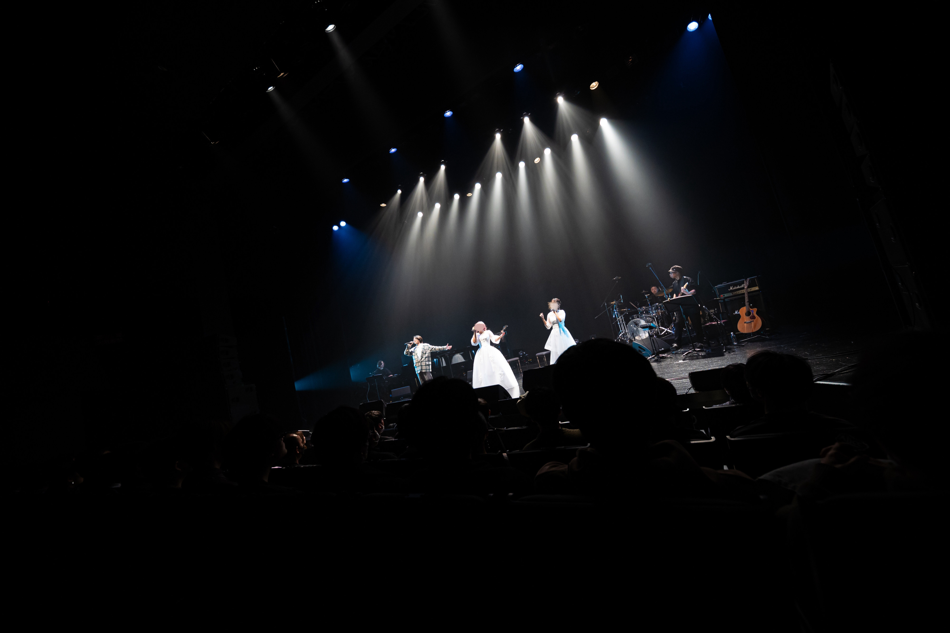 Alice in the Concerto 2024
